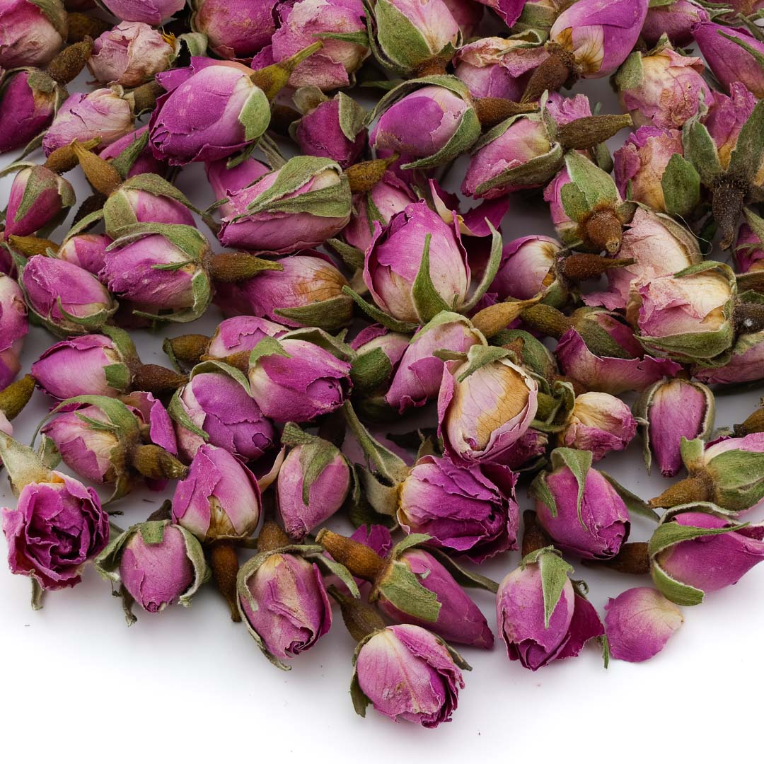 Rose Blossom - Rosenknospen purpur