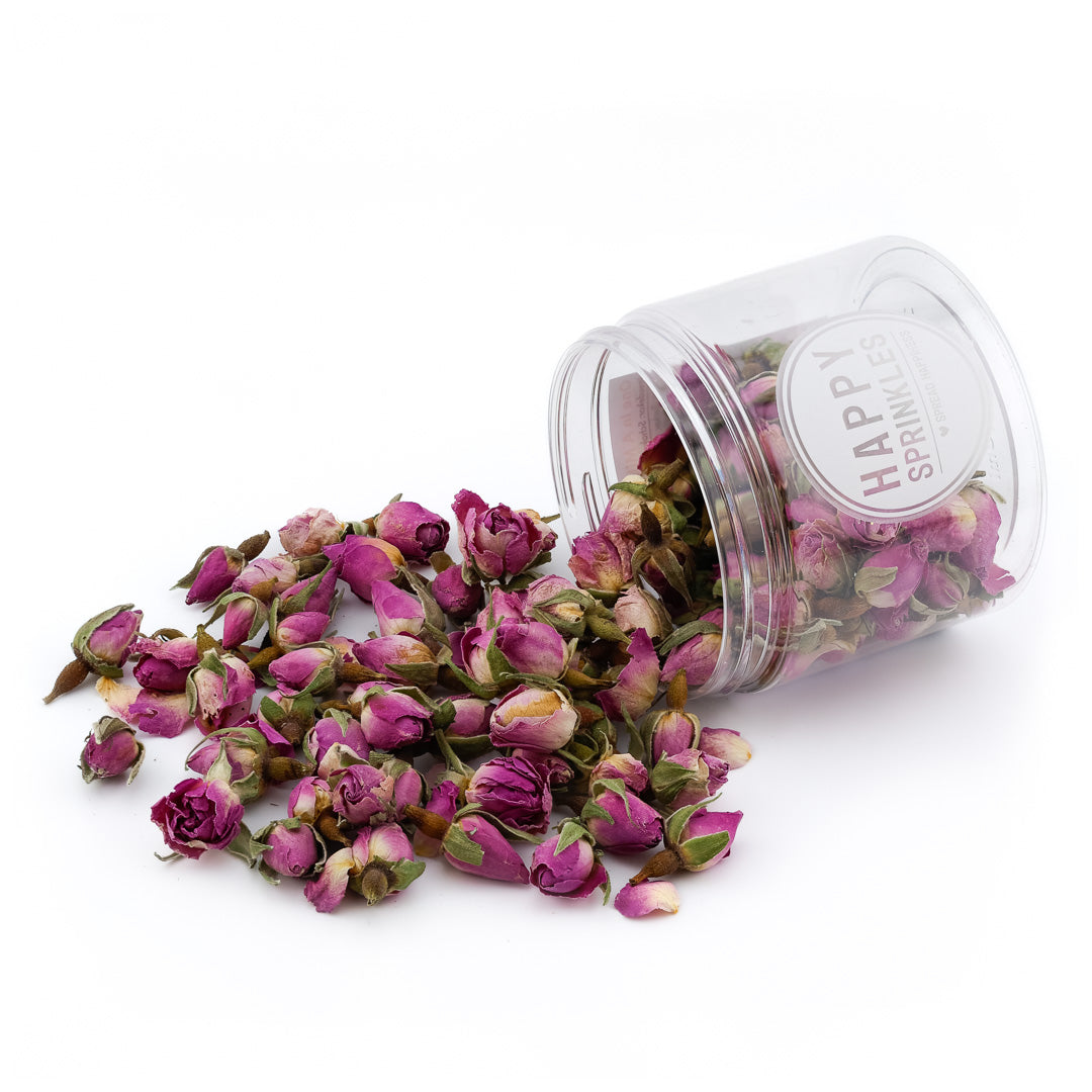 Rose Blossom - Rosenknospen purpur