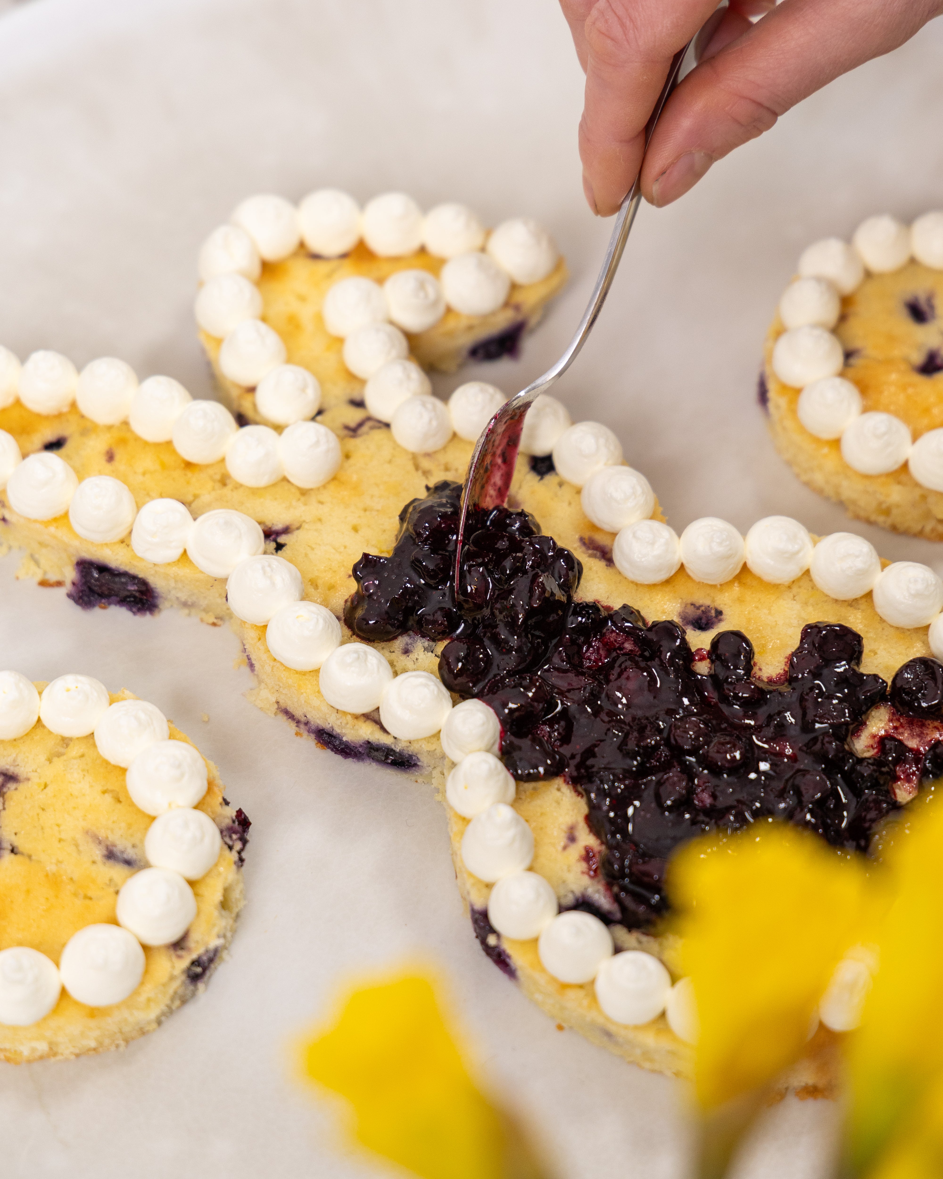 Enthusiast </br><span class="unitprice">3 Boxes</span></br><span class="unitprice">6 Months</span>